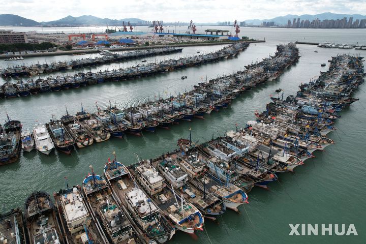 [샤먼=신화/뉴시스] 올해 가장 강력한 제18호 태풍 ‘라가사’가 24일 중국 남부 광둥성에 상륙할 것으로 예상되면서 중국 당국이 태풍·폭우 경보를 동시에 발령하고 전방위 대응에 나섰다. 사진은 22일 푸젠성 샤먼의 한 항구에 태풍을 피해 선박들이 정박해 있는 모습. 2025.09.23