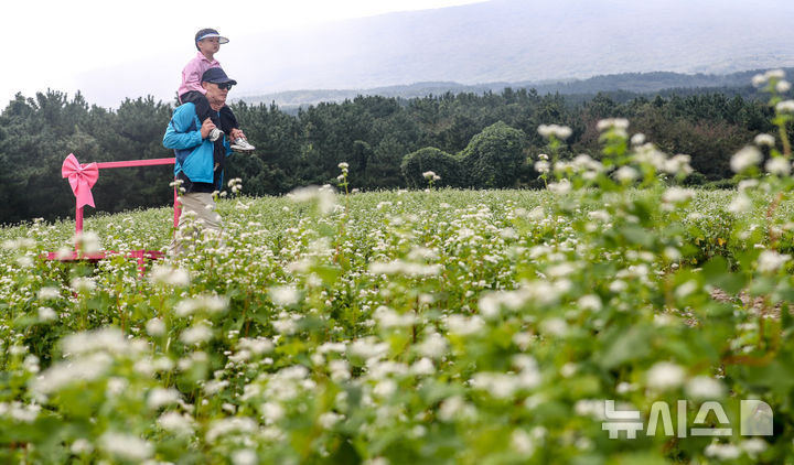 제주도 "손주돌봄수당 참여 조부모, 필수교육 받으세요" - 뉴스 썸네일 이미지