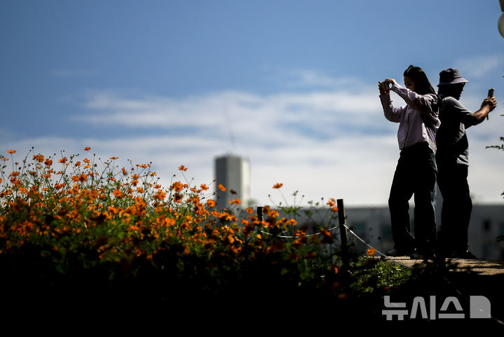 [서울=뉴시스] 정병혁 기자 = 절기상 추분인 23일 서울 송파구 올림픽공원 들꽃마루를 찾은 시민들이 황화코스모스를 바라보며 가을 정취를 만끽하고 있다. 2025.09.23. jhope@newsis.com