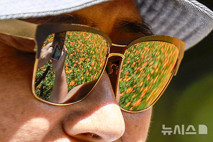 절기상 추분, 가을을 알리는 코스모스 [뉴시스Pic] 