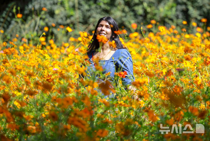 [서울=뉴시스] 정병혁 기자 = 절기상 추분인 23일 서울 송파구 올림픽공원 들꽃마루를 찾은 시민들이 황화코스모스를 바라보며 가을 정취를 만끽하고 있다. 2025.09.23. jhope@newsis.com