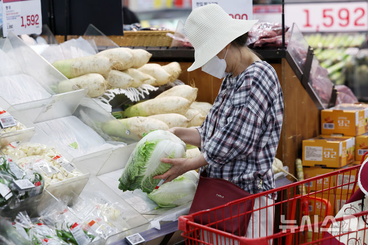 [서울=뉴시스] 조성우 기자 = 서울 시내의 한 대형마트에서 시민들이 배추를 살펴보고 있다. 2025.09.23. xconfind@newsis.com
