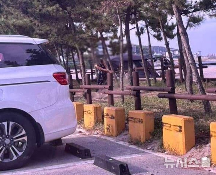 [서울=뉴시스](사진=보배드림)