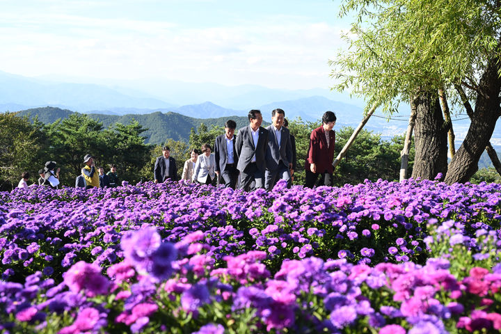 [거창=뉴시스] 보랏빛 노을에 물든 거창 감악산 꽃별여행 (사진=거창군 제공) 2025. 09. 24. photo@newsis.com&nbsp; *재판매 및 DB 금지