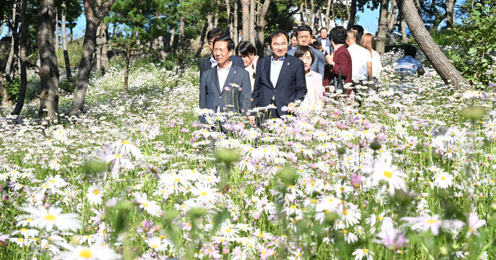 [거창=뉴시스] 거창 감악산 꽃별여행 (사진=거창군 제공) 2025. 09. 24. photo@newsis.com&nbsp; *재판매 및 DB 금지