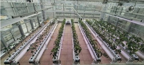 [세종=뉴시스] 농건물 에너지를 활용한 '스마트 그린빌딩' R&D·실증 사례인 옥상 온실 (사진=농림축산식품부 제공) 2025.09.24. photo@newsis.com *재판매 및 DB 금지