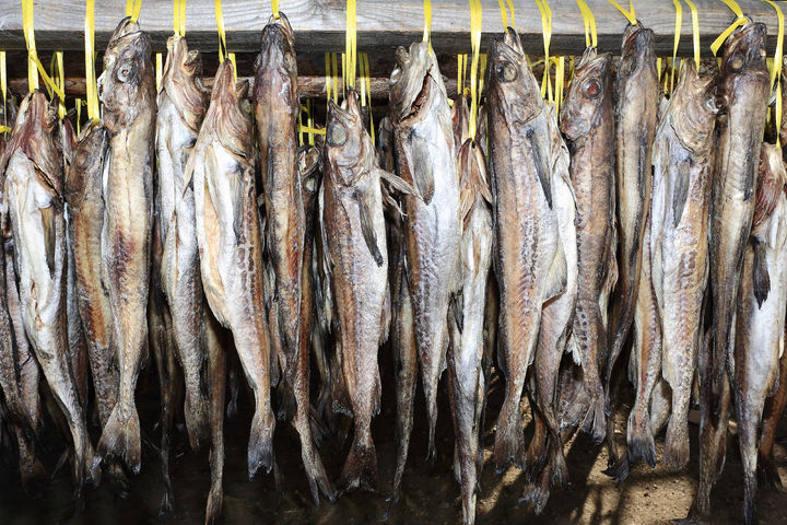 [춘천=뉴시스] 24일 강원특별자치도(도지사 김진태)는 오는 25일부터 2일간 속초·강릉에서 지역 대표 특산품인 황태의 유통질서 확립과 공정한 거래문화 정착을 위한 ‘황태 유통질서 확립 캠페인’을 실시한다 고 밝혔다. 사진은 인제 용대리 황태 모습. 강원특별자치도 재공. *재판매 및 DB 금지