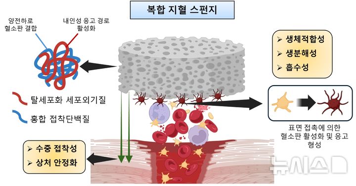 [포항=뉴시스] 연구 이미지. (사진=포스텍 제공) 2025.09.24. photo@newsis.com