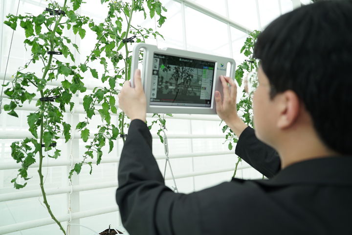 [세종=뉴시스] 경북 상주시 스마트팜 혁신밸리 내 실증 온실에서 AI를 접목한 스마트농업데이터 수집 및 활용 서비스에 대한 시연회가 진행되고 있다. (사진=농림축산식품부) 2025.09.24. *재판매 및 DB 금지