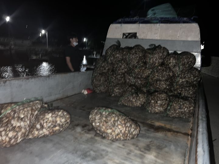 [사천=뉴시스]사천해경 바지락 불법 채취 검거.(사진=사천해경 제공).2025.09.24.photo@newsis.com *재판매 및 DB 금지