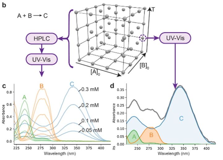  기초과학연구원(IBS) AI 및 로봇 기반 합성 연구단 바르토슈 그쥐보브스키 단장 연구팀이 개발한 AI·로봇 기반 자동화 반응 플랫폼으로 지도화한 '한츠슈 피리딘 합성 반응'의 재구성된 네트워크(위쪽)와 그로 인해 나타난 3가지 주요 생성물의 수율 및 농도 분포 지도. (사진=과기정통부 제공) *재판매 및 DB 금지