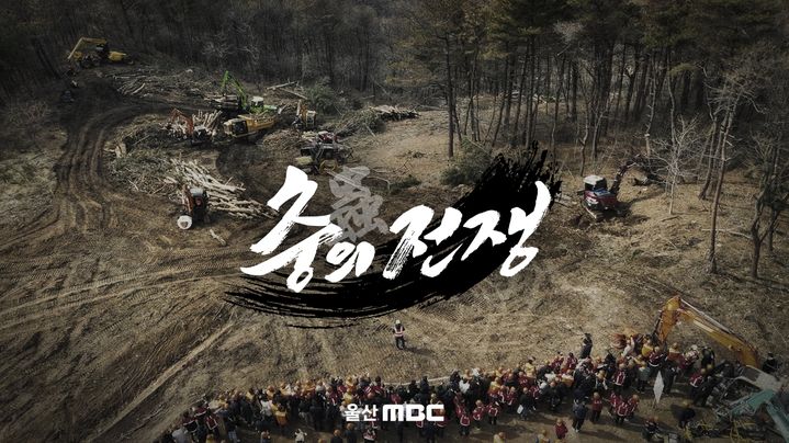 [울산=뉴시스] 울산MBC는 소나무 재선충병 확산과 정부 산림정책의 한계를 짚는 다큐멘터리 '충(蟲)의 전쟁'을 25일 오후 9시 방송한다고 24일 밝혔다. (사진=울산MBC 제공) 2025.09.24. photo@newsis.com *재판매 및 DB 금지