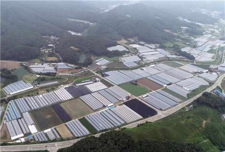 [횡성=뉴시스] 스마트 원예단지 공모 둔내면 모습. (사진=횡성군 제공)2025.09.25.photo@newsis.com *재판매 및 DB 금지