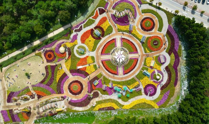 [인제=뉴시스] 25일 인제군문화재단은 오는 27일부터 다음 달 19일까지 23일 동안 인제군 북면 용대 관광지 일원에서 열리는 ‘2025 인제 가을꽃축제’의 모든 준비를 마쳤다 고 밝혔다. 사진은 지난해 인제 가울꽃축제. 인제군 제공.&nbsp; *재판매 및 DB 금지