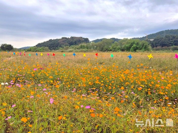 [여주=뉴시스] 대신섬 바람개비(사진=여주시 제공) 2025.09.25. photo@newsis.com