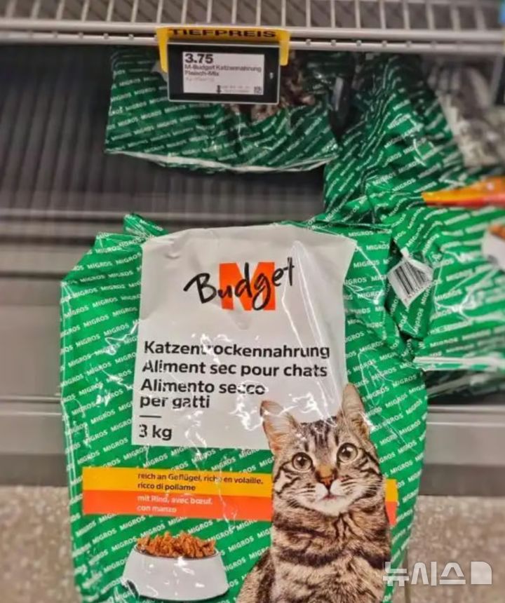 "고양이 사료 먹고 산다"…中 유학생의 극한 스위스 라이프