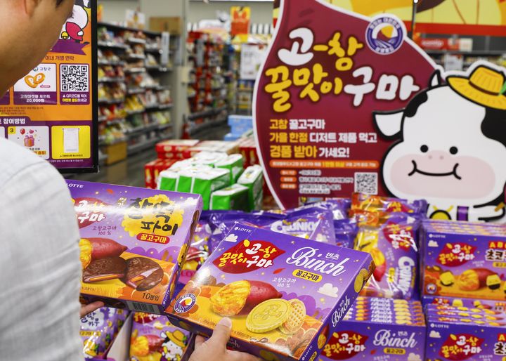 서울 한 대형마트에서 롯데웰푸드의 고창 꿀고구마 한정판을 구매하고 있는 소비자의 모습. (사진=롯데웰푸드 제공) *재판매 및 DB 금지