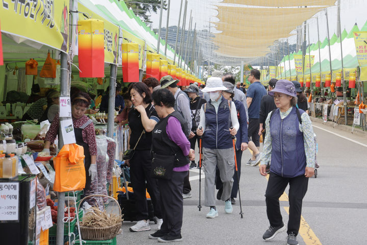 [청주=뉴시스] 2025 청원생명축제. photo@newsis.com *재판매 및 DB 금지