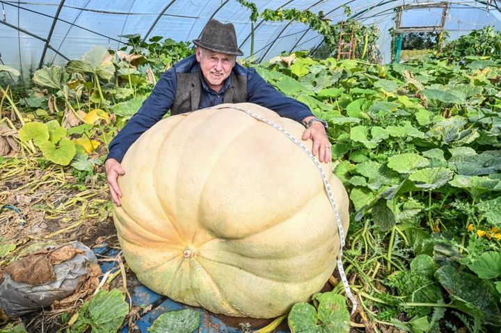 [뉴시스]영국의 한 원예사가 '거대 채소'를 재배해 무려 네 개의 기네스 세계 기록을 세우며 화제를 모았다.(사진=SWNS/Emma Trimble 캡쳐).2025.09.25 *재판매 및 DB 금지