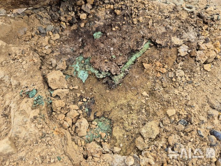 영천 완산동 고분군Ⅲ '금동관' 출토 현장