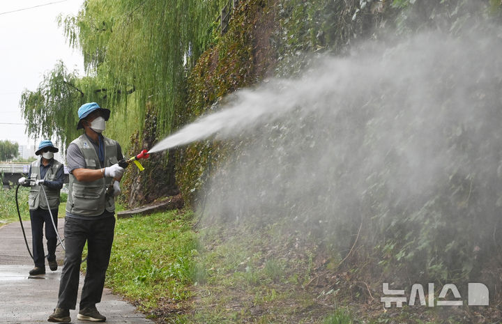 [수원=뉴시스] 김종택 기자 =지난해 9월 25일 경기 수원시 팔달구 수원천에서 보건소 관계자들이 가을 모기 등 해중 피해를 예방하기 위해 방역 작업을 하는 모습. 2025.09.25. jtk@newsis.com