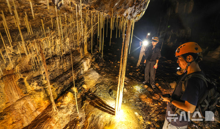 [제주=뉴시스] 우장호 기자 = 25일 제주시 구좌읍 월정리에 위치한 천연기념물 용천동굴이 국가유산 방문의 해를 맞아 언론에 특별공개되고 있다.2005년 5월11일에 발견된 용천동굴은 약 30만∼10만년 전에 분출한 알칼리 감람석 현무암 용암에 의해 형성되었으며, 종유관·종유석·석주·평정석순·동굴산호·동굴진주 등 2차 탄산염생성물이 다종·다양하게 발달하고 대규모의 동굴호수가 있는 등 특이한 면면이 많아 학술적·경관적 가치를 인정받고 있다. 2025.09.25. woo1223@newsis.com