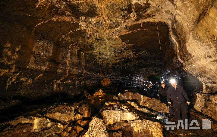 [제주=뉴시스] 우장호 기자 = 25일 제주시 구좌읍 월정리에 위치한 천연기념물 용천동굴이 국가유산 방문의 해를 맞아 언론에 특별공개되고 있다.2005년 5월11일에 발견된 용천동굴은 약 30만∼10만년 전에 분출한 알칼리 감람석 현무암 용암에 의해 형성되었으며, 종유관·종유석·석주·평정석순·동굴산호·동굴진주 등 2차 탄산염생성물이 다종·다양하게 발달하고 대규모의 동굴호수가 있는 등 특이한 면면이 많아 학술적·경관적 가치를 인정받고 있다. 2025.09.25. woo1223@newsis.com