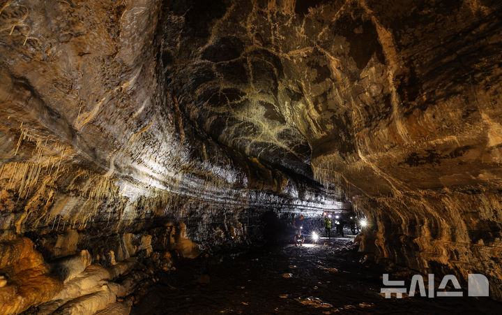 [제주=뉴시스] 우장호 기자 = 25일 제주시 구좌읍 월정리에 위치한 천연기념물 용천동굴이 국가유산 방문의 해를 맞아 언론에 특별공개되고 있다.2005년 5월11일에 발견된 용천동굴은 약 30만∼10만년 전에 분출한 알칼리 감람석 현무암 용암에 의해 형성되었으며, 종유관·종유석·석주·평정석순·동굴산호·동굴진주 등 2차 탄산염생성물이 다종·다양하게 발달하고 대규모의 동굴호수가 있는 등 특이한 면면이 많아 학술적·경관적 가치를 인정받고 있다. 2025.09.25. woo1223@newsis.com