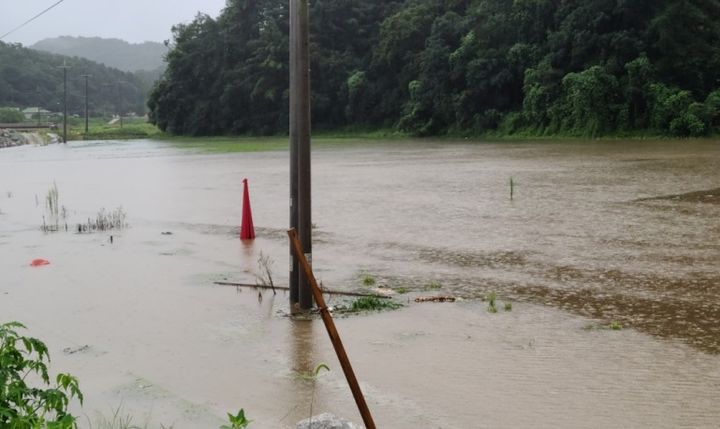 [원주=뉴시스] 여름철 농경지 침수 피해가 반복되는 원주시 호저면 무장리 일원. (사진=원주시 제공) 2025.09.26. photo@newsis.com *재판매 및 DB 금지