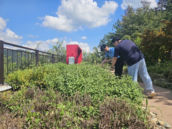 [밀양=뉴시스] 이강우 밀양시청 환경관리과 환경정책담당이 시가지를 점검하고 있다. (사진= 밀양시 제공) 2025.09.26. photo@newsis.com *재판매 및 DB 금지