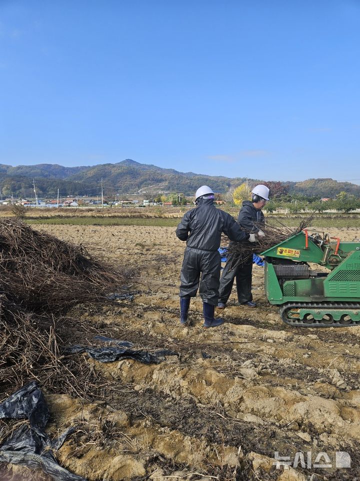 [음성=뉴시스] 음성군 영농부산물 파쇄지원단 운영사업 자료사진 (음성군 제공)