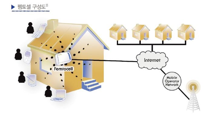 [서울=뉴시스] 펨토셀 구성도. (사진=KISTI 보고서) *재판매 및 DB 금지