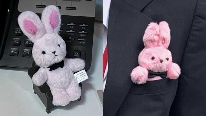 [서울=뉴시스]권민지 수습 기자 = 왼쪽은 '괴담출근' 공식 인형, 오른쪽은 팬이 직접 만든 인형 2025.09.26. ming@newsis.com *재판매 및 DB 금지