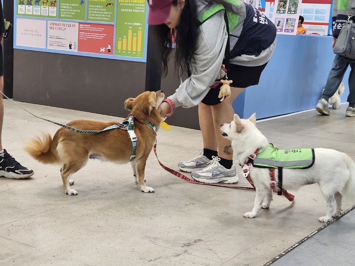 [부산=뉴시스] 박광온 기자 =사진은 26일 부산 해운대구 벡스코에서 열린 '제1회 동물보호의 날' 기념 행사에 반려견을 동반한 반려인들이 참석하고 있는 모습. 2025.0926. photo@newsis.com *재판매 및 DB 금지