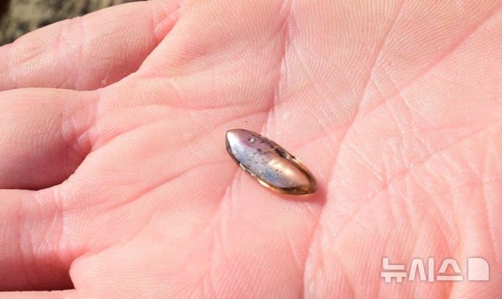 [서울=뉴시스]매디슨이 발견한 2.79캐럿짜리 다이아몬드(사진=아칸소 크레이터 오브 다이아몬드 주립공원)