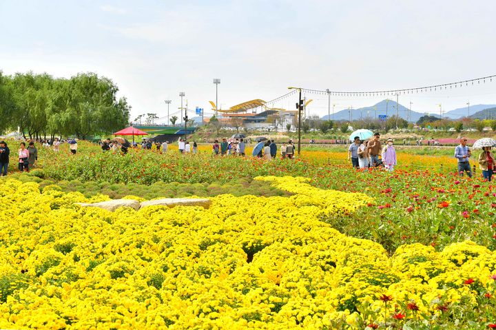 '빛으로 물드는 이야기 길' 장성군, 황룡강 가을꽃축제
