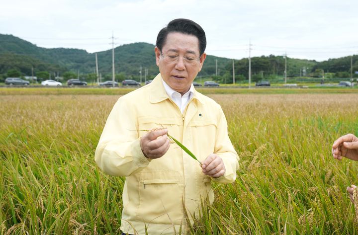 [보성=뉴시스] 김영록 전남지사가 26일 오후 벼 깨씨무늬병 피해 현장인 보성군 미력면 반룡리 일원 논을 찾아 피해 상황을 살피고 있다. (사진 = 전남도 제공). 2025.09.26. photo@newsis.com *재판매 및 DB 금지