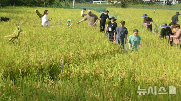 [완주=뉴시스] 김얼 기자 = 제13회 완주와일드&로컬푸드축제가 개막한 26일 전북 완주군 고산자연휴양림 일원 축제장을 찾은 시민들이 메뚜기 잡기 체험을 하고 있다. 2025.09.26. pmkeul@newsis.com