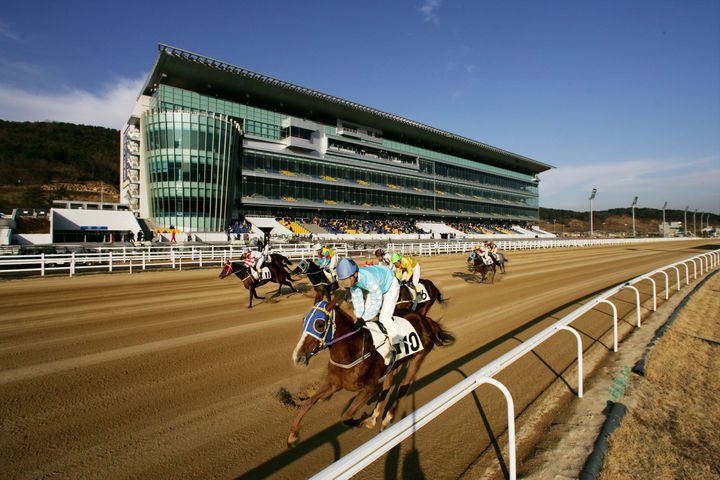 [창원=뉴시스]렛츠런파크 부산경남 경마 모습.(사진=렛츠런파크 부산경남 제공) 2025.09.28.photo@newsis.com *재판매 및 DB 금지