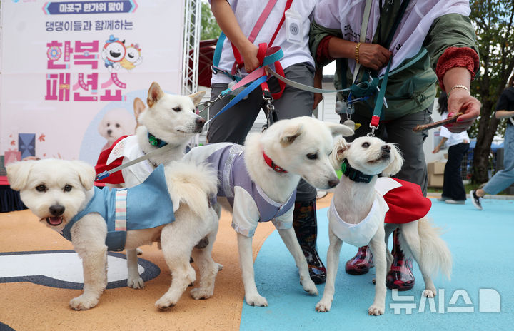 "오늘 세계 반려동물의 날"...댕냥이 집사 위한 필수템은? - 뉴스 썸네일 이미지