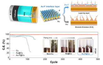 [서울=뉴시스] 무음극 전고체 배터리의 개략도 및 성능. (사진=동국대 제공) 2025.09.29. photo@newsis.com *재판매 및 DB 금지