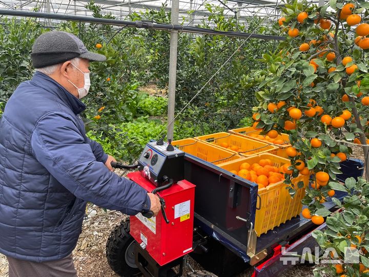 전기차 사용후 배터리 활용 제품 100대, 제주 8개 마을 보급 - 뉴스 썸네일 이미지