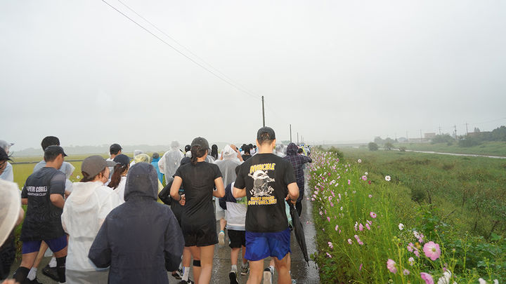 [서산=뉴시스] 지난 28일 충남 서산시 양대동 스포츠테마파크 일원에서 열린 '2025 코스모스황금들녘마라톤대회'에 참가한 선수들이 코스모스길을 내달리고 있고 있다. (사진=서산시 제공) 2025.09.29. photo@newsis.com *재판매 및 DB 금지