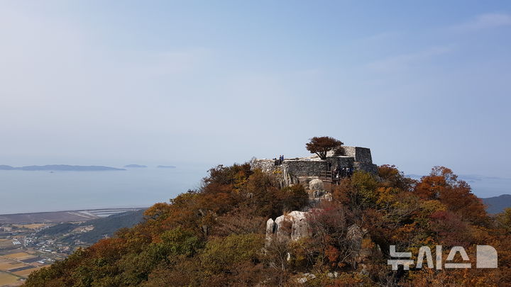 인천 강화군 제공