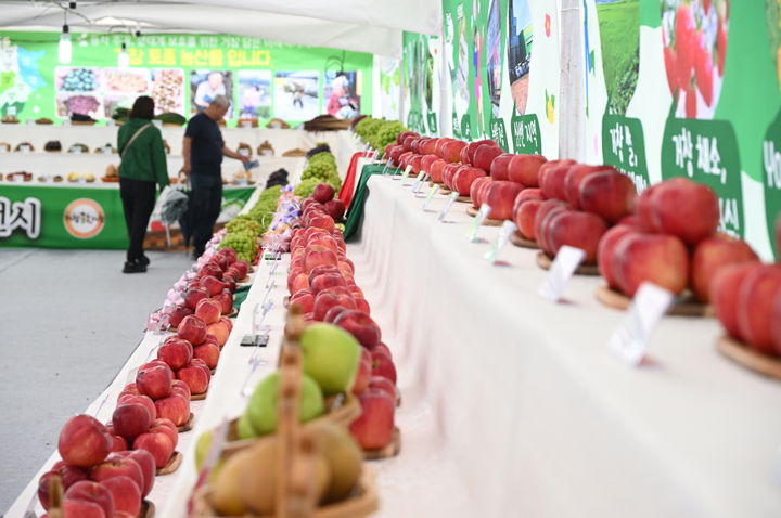 [거창=뉴시스] 거창한마당대축제 녹색곳간 거창 농산물 대축제 (사진=거창군 제공) 2025. 09. 30. photo@newsis.com *재판매 및 DB 금지