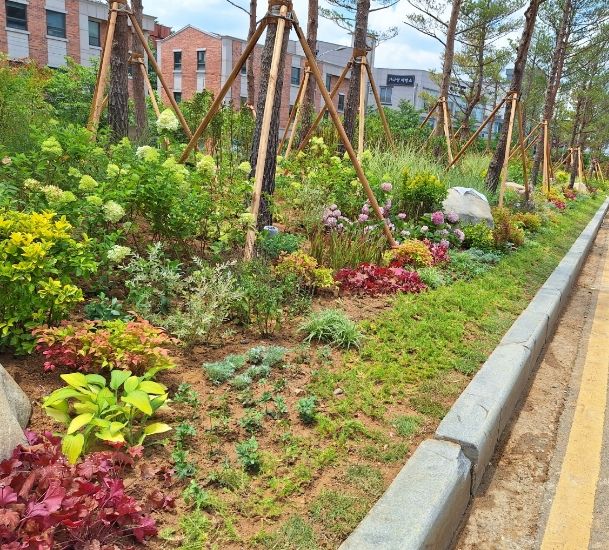 [서울=뉴시스] 조성 후. 2025.09.30. (사진=송파구 제공) *재판매 및 DB 금지