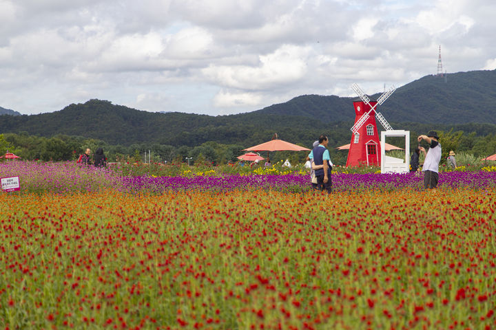 [수원=뉴시스] 양주 나리공원(사진=경기관광공사 제공) *재판매 및 DB 금지