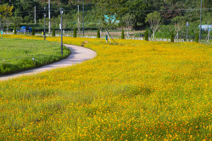 [수원=뉴시스] 안성 금광호수 수석정 수변화원 (사진=경기관광공사 제공) *재판매 및 DB 금지