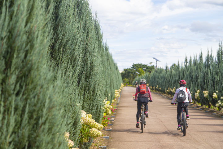 [수원=뉴시스] 구리 한강시민공원(사진=경기관광공사 제공) *재판매 및 DB 금지