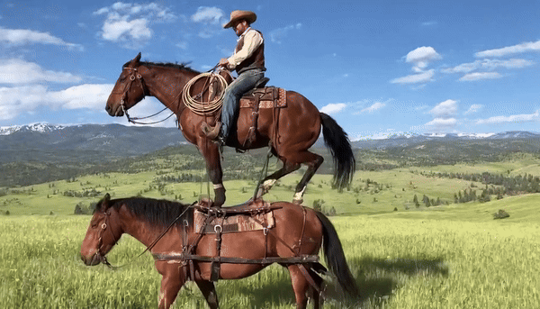 [서울=뉴시스] 오픈AI 영상 생성 AI 모델 '소라 2'로 제작한 영상. "한 남자가 다른 말 위에 있는 말을 탄다"는 텍스트 프롬프트를 적용해 완성했다. (영상=오픈AI 블로그) *재판매 및 DB 금지